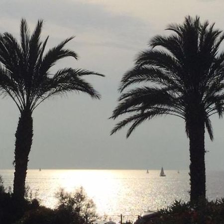 Sanarybeach المظهر الخارجي الصورة